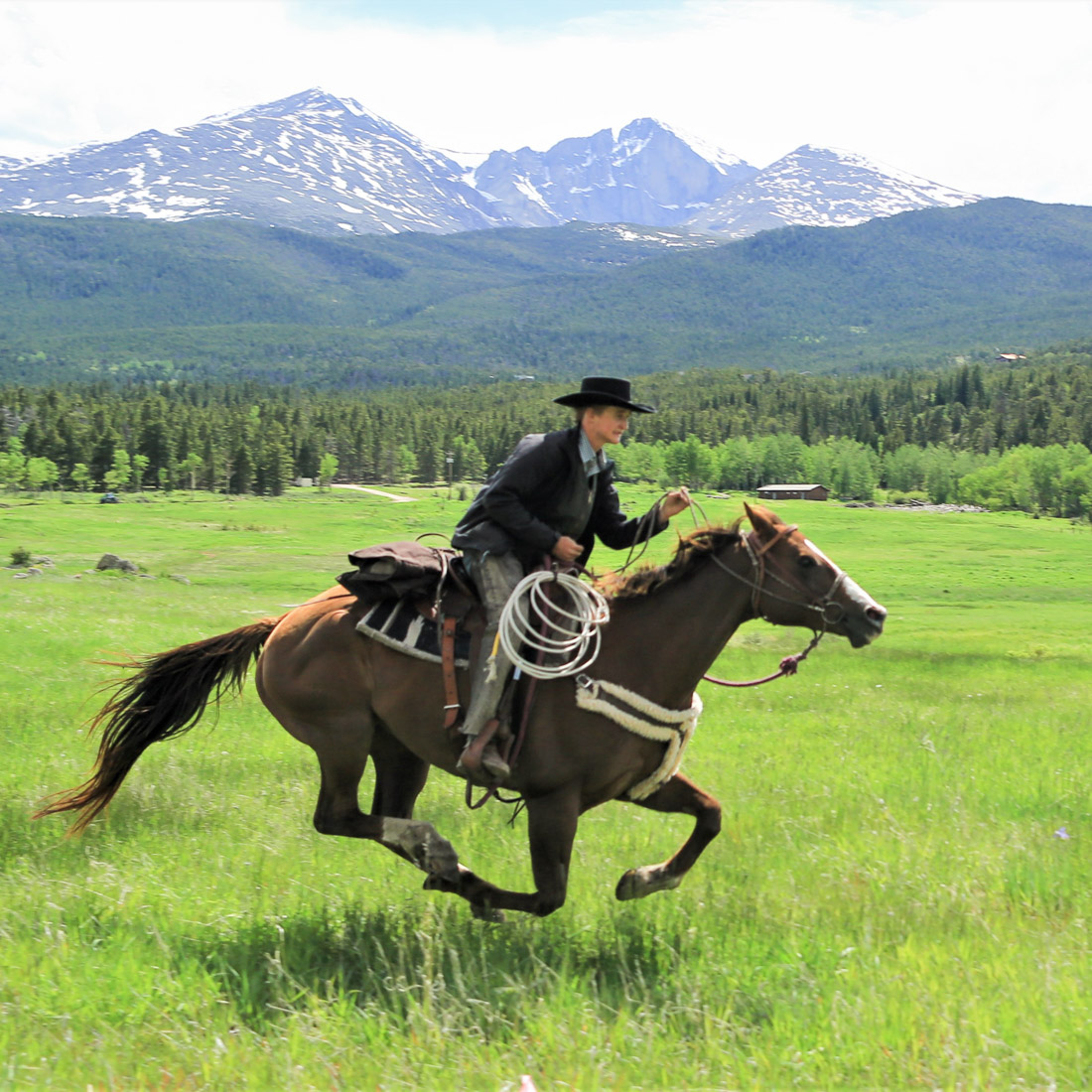 Horswe Ridign Horse Riding Widley
