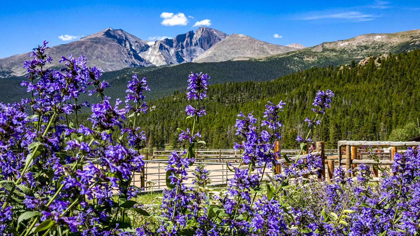 Wind River Ranch — photo 38 of 60